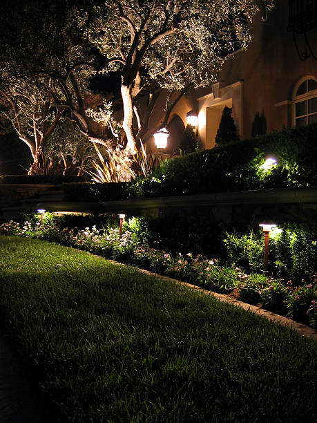 Landscape lighting installed along a residential walkway