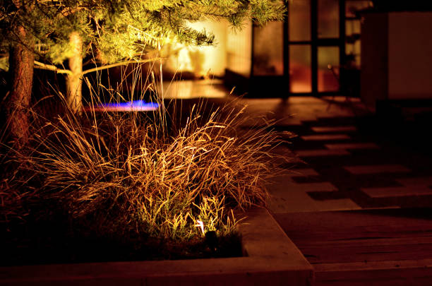 Warm outdoor accent lighting highlighting a home's landscaping