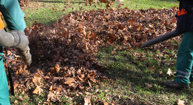 Leaf blower cleanup along a curb line in fall