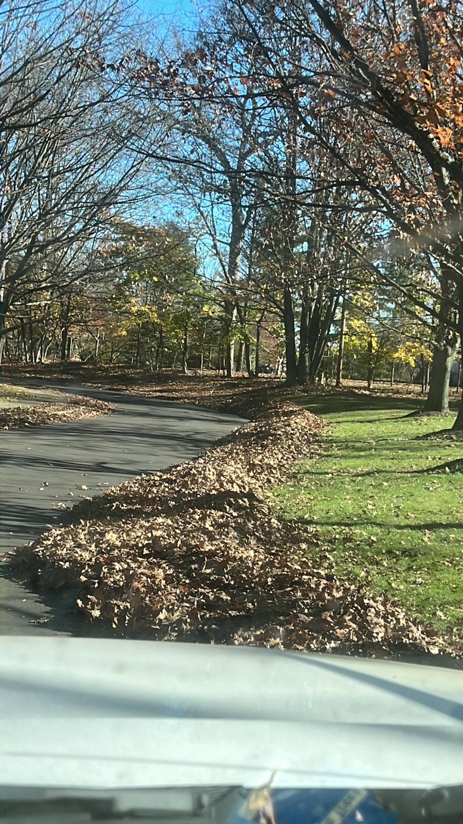 Seasonal leaf cleanup work for a Sellersville-area home