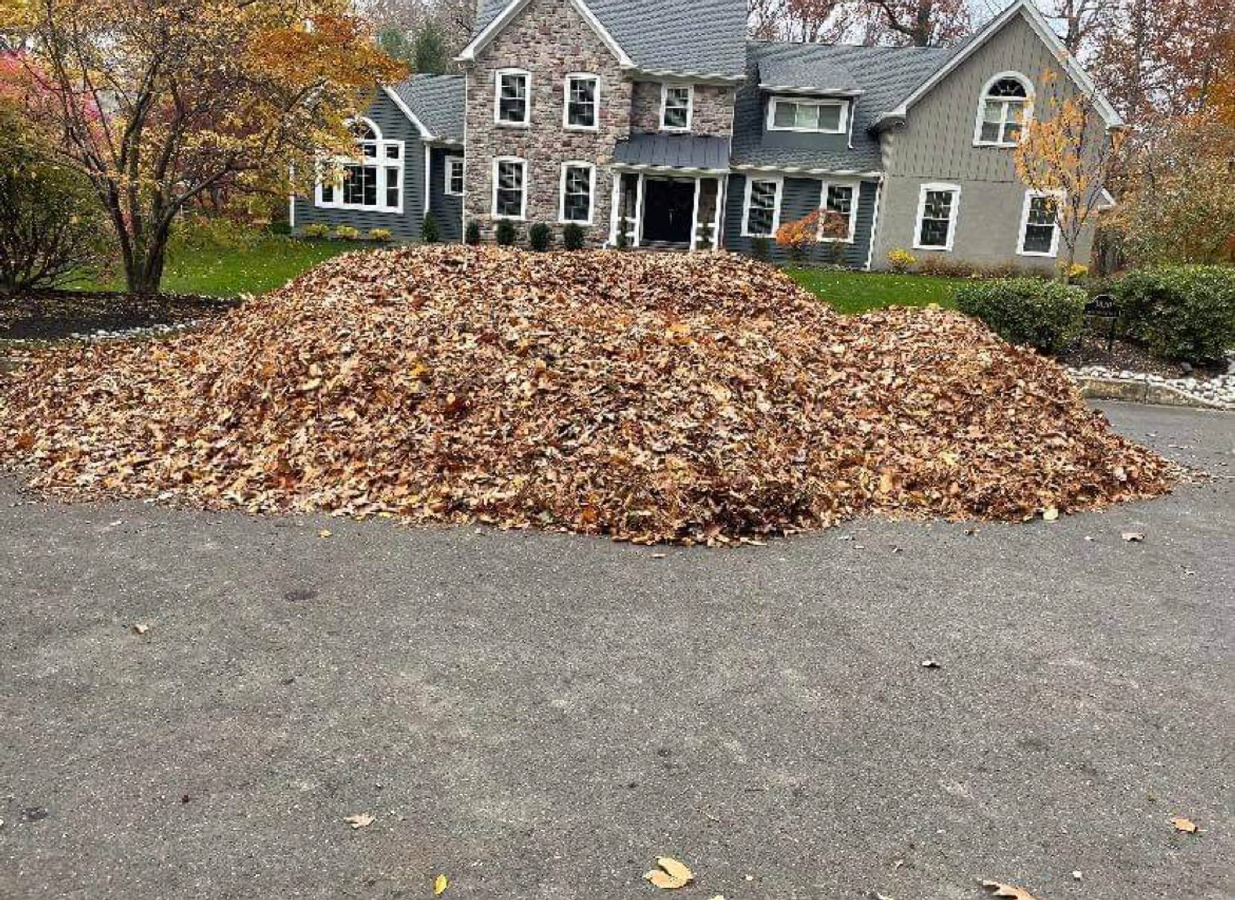 Leaf cleanup and seasonal property maintenance in Bucks County