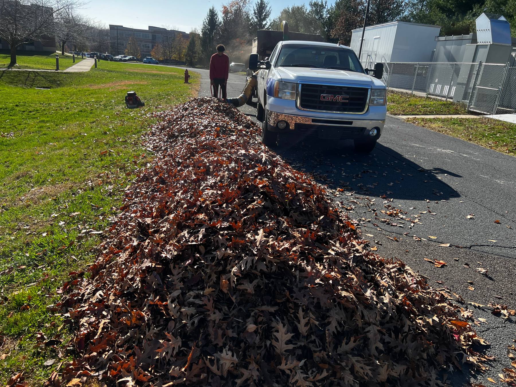 Leaf removal and seasonal cleanup on a larger residential lot
