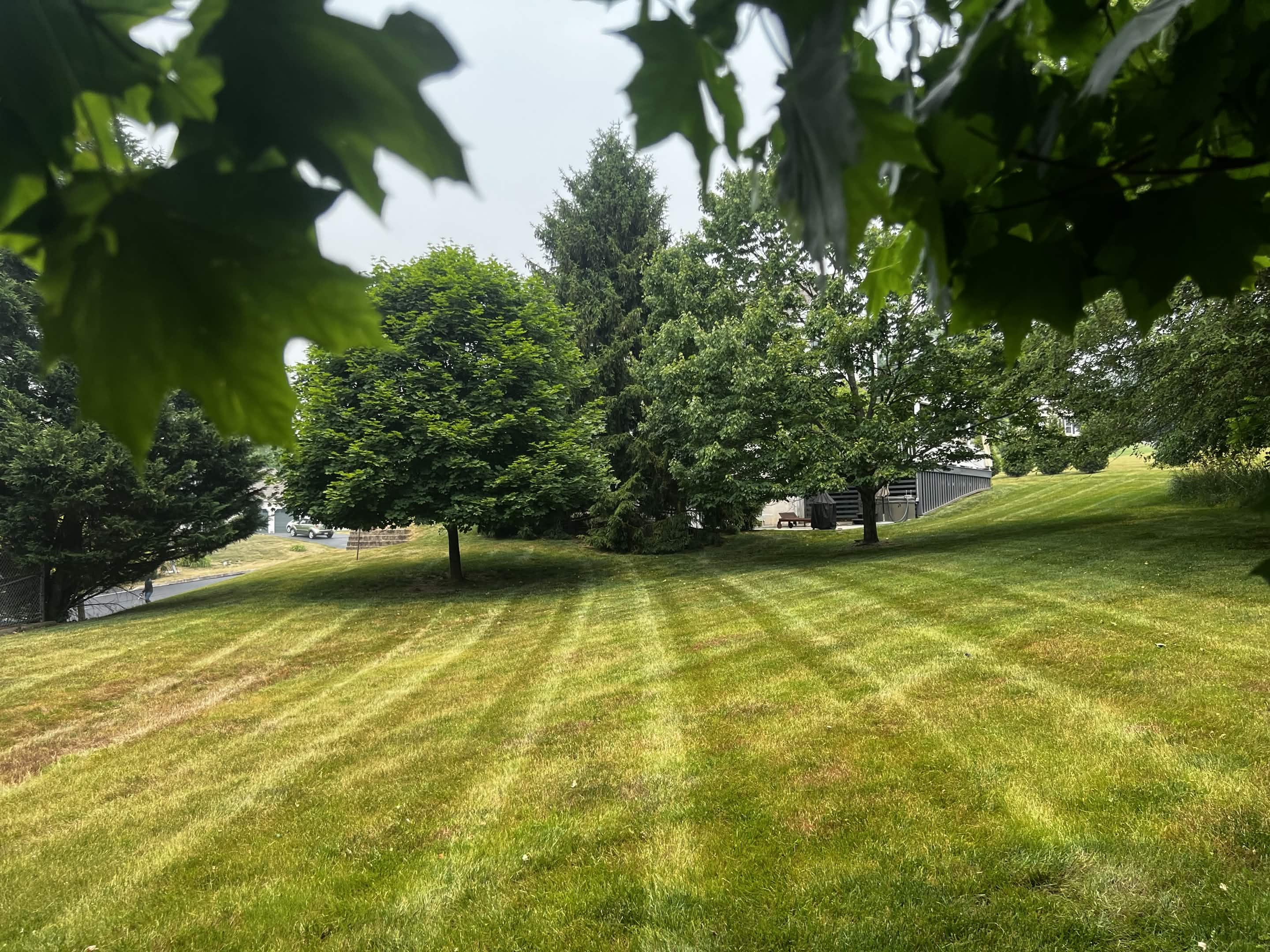 Lawn care in Doylestown