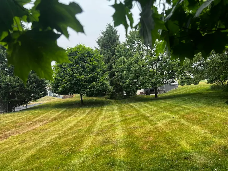 Lawn mowing in Doylestown PA
