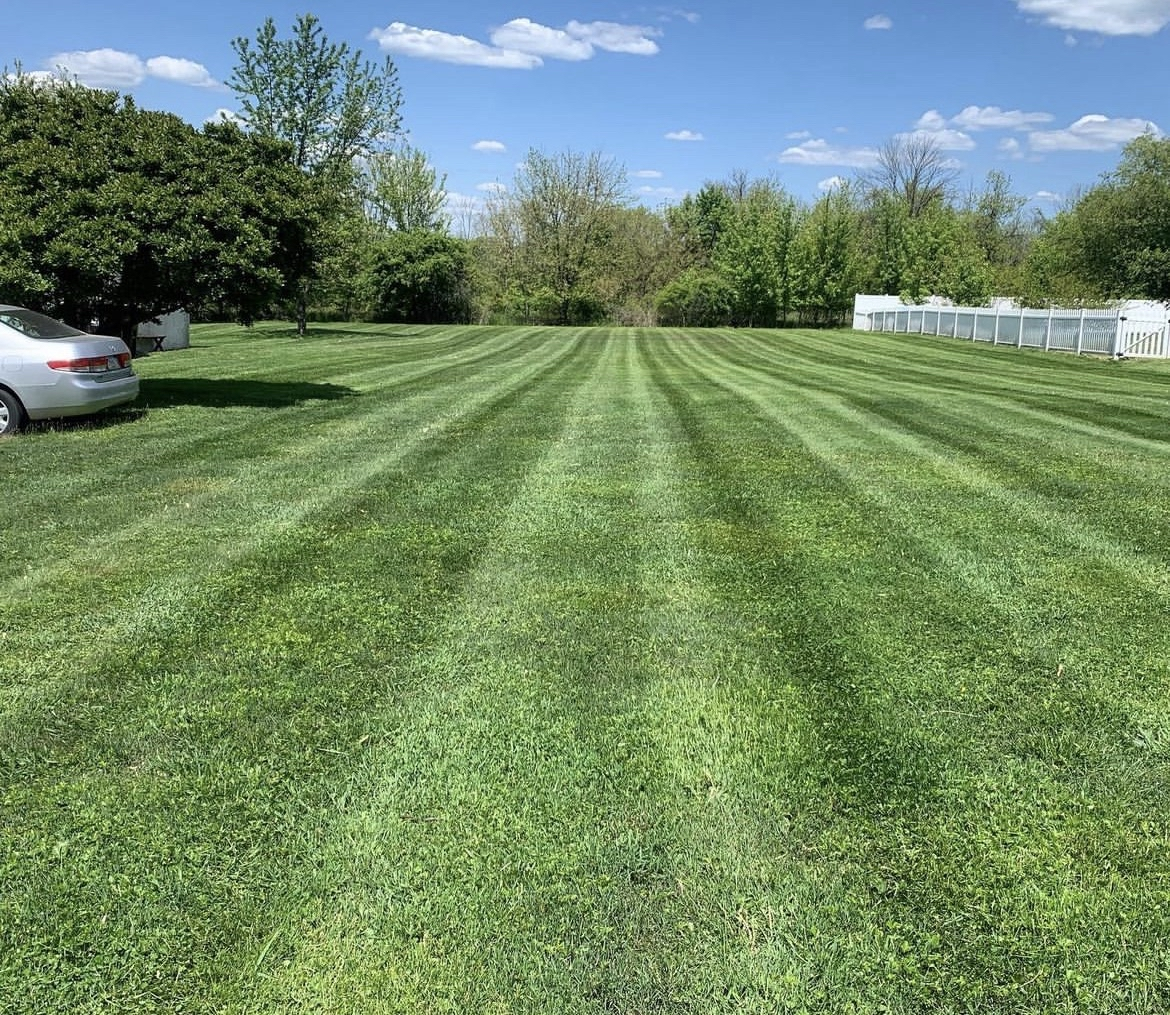 Lawn mowing stripes on Bucks County property