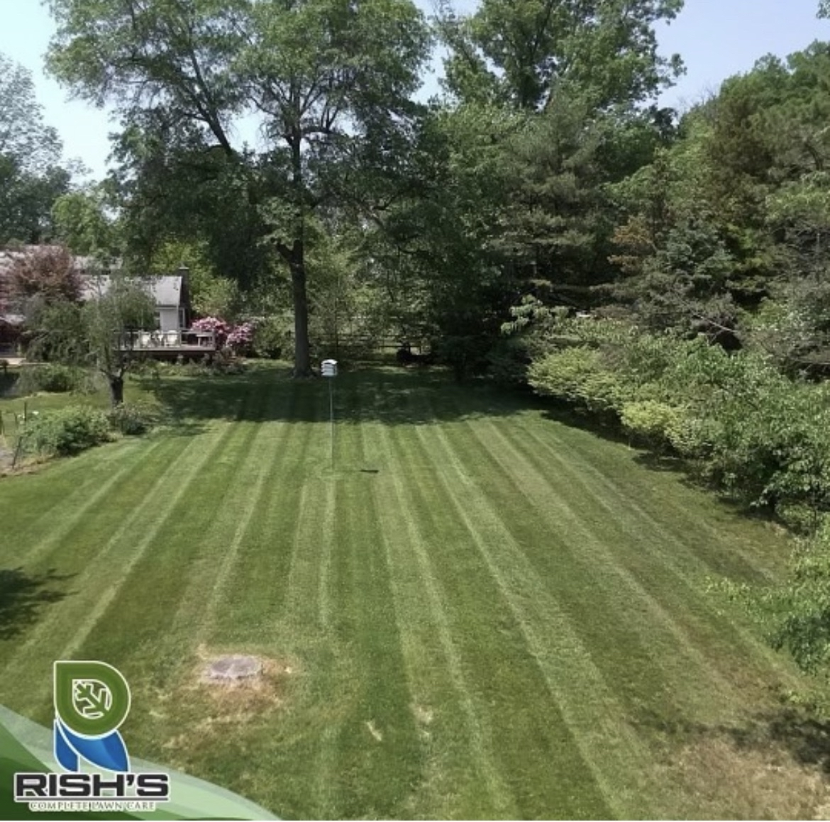 Freshly maintained lawn in Bucks County
