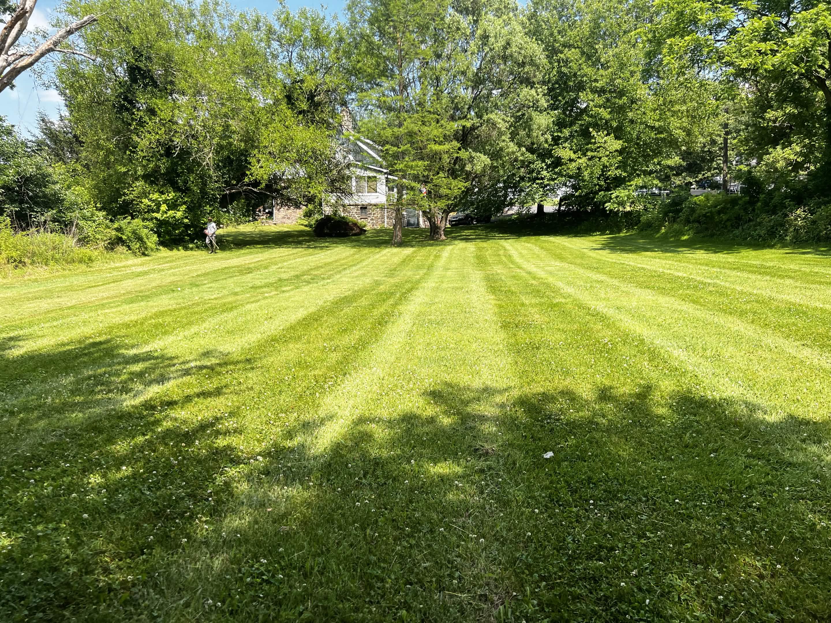 Weekly lawn mowing service Doylestown