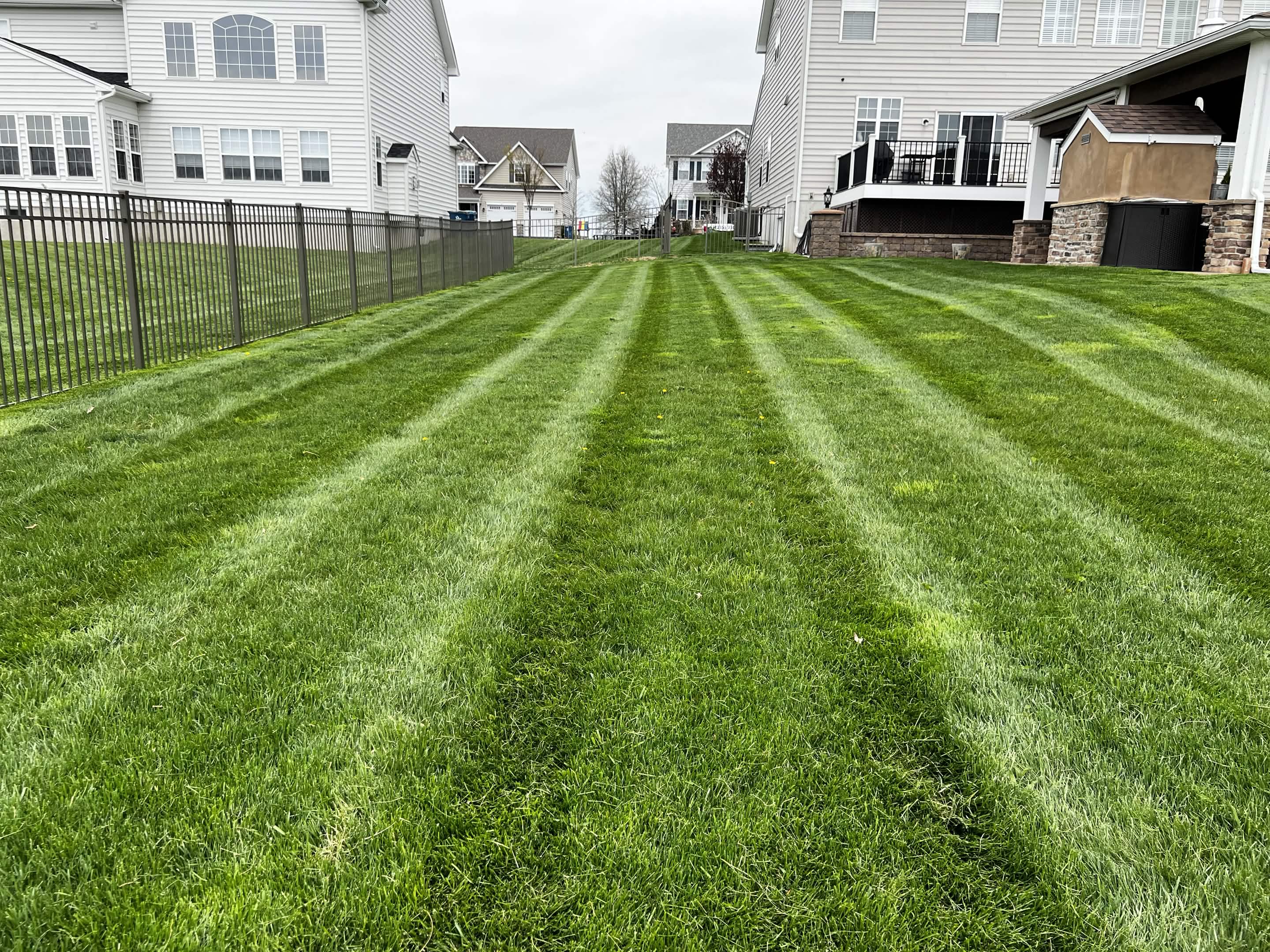 Professional lawn care Doylestown PA