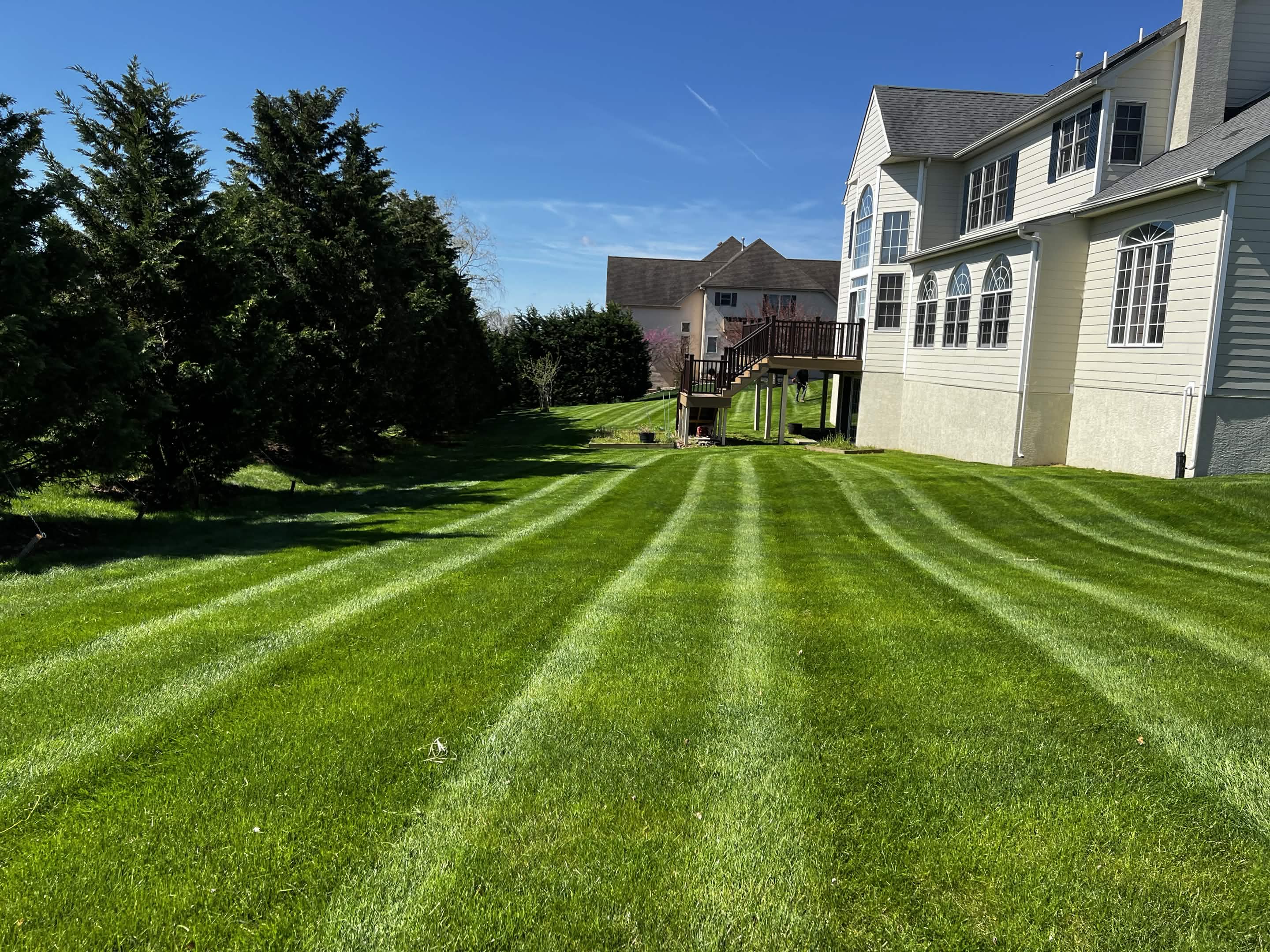 Lawn mowing and edging Doylestown PA