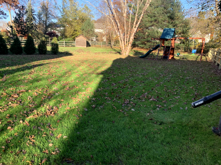 Fall cleanups in Bucks County