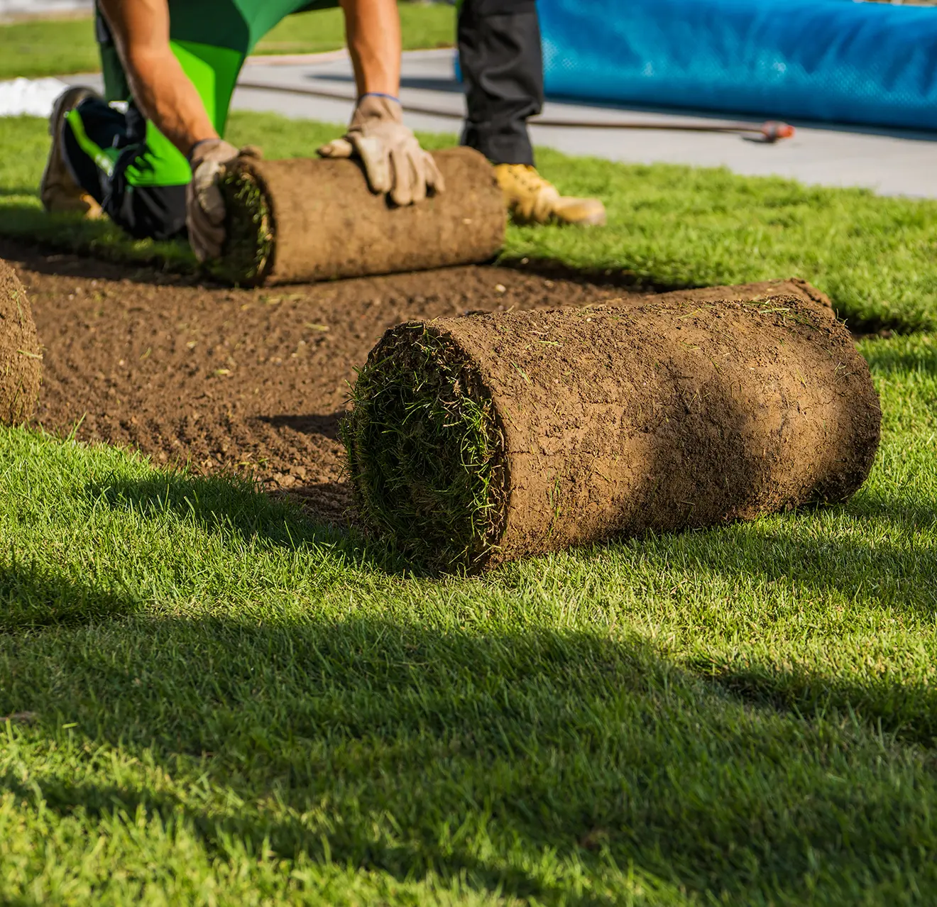 SOD installation in Bucks County