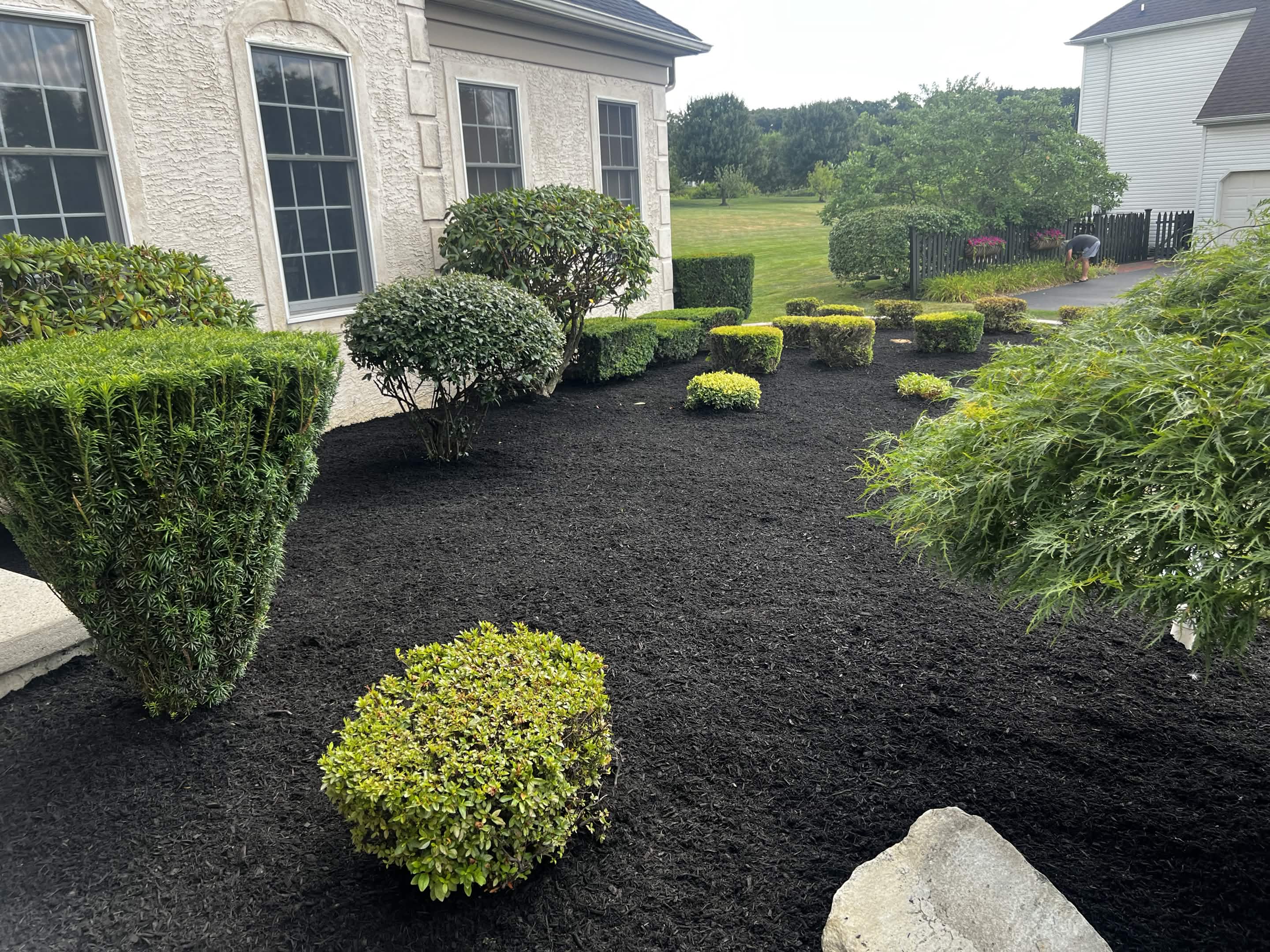 Fall cleanup project 5