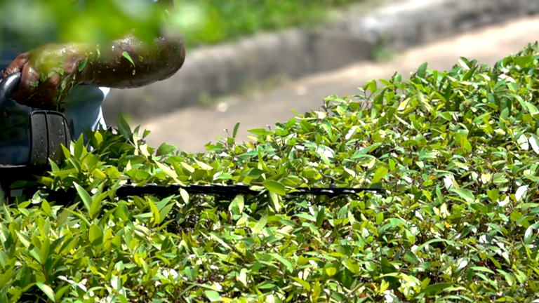 Shrub trimming in Bucks County