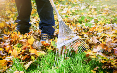 Taking A Clean Sweep Through Your Landscape