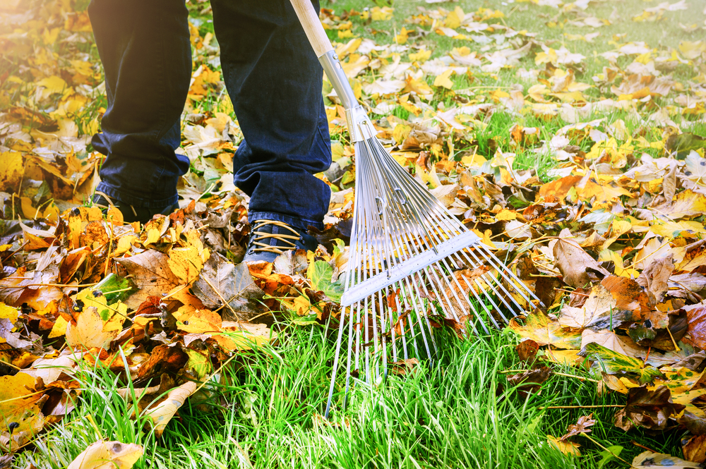 Taking A Clean Sweep Through Your Landscape