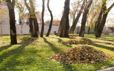 Tis the Pennsylvania Cleanup Season