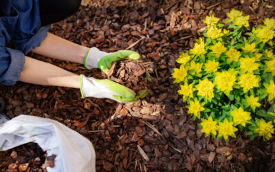 The Right Stuff – Tips for Choosing Your Mulch