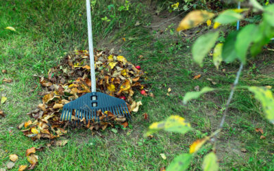 After a Long Winter’s Nap