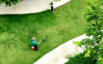 Top Reasons Why Lawn Maintenance Rules Springtime