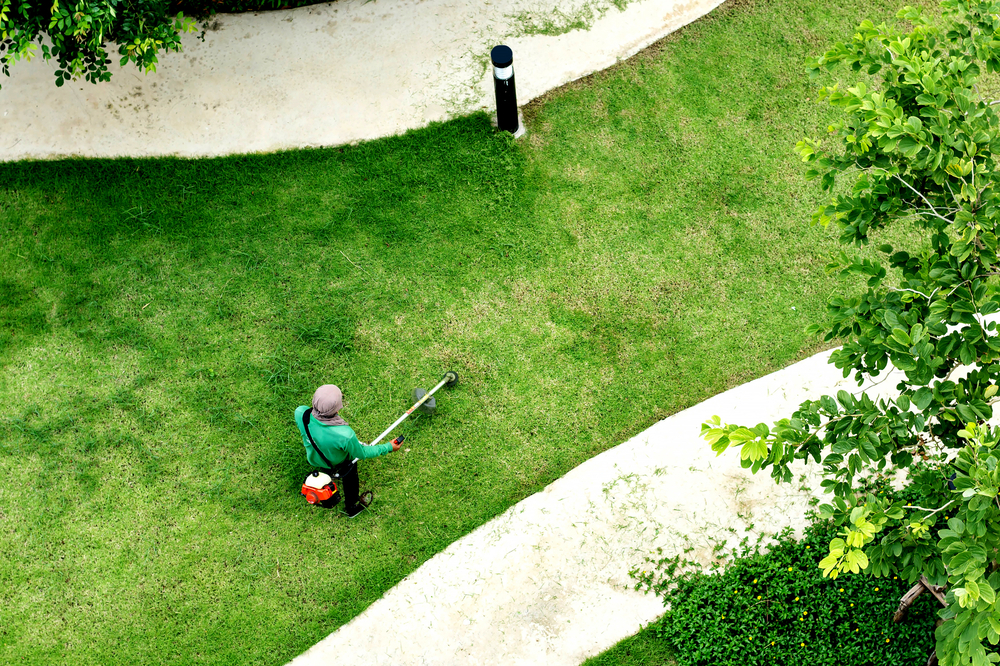 Top Reasons Why Lawn Maintenance Rules Springtime