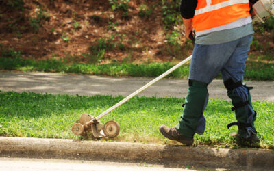 Trim a Little (or a LOT) Off the Top