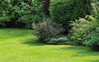 How Does the Hard Life Add Value to Your Home?