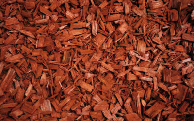 So Mulch to Choose From!