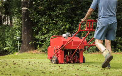 The Perfect Recipe: How Aeration & Overseeding Work Together