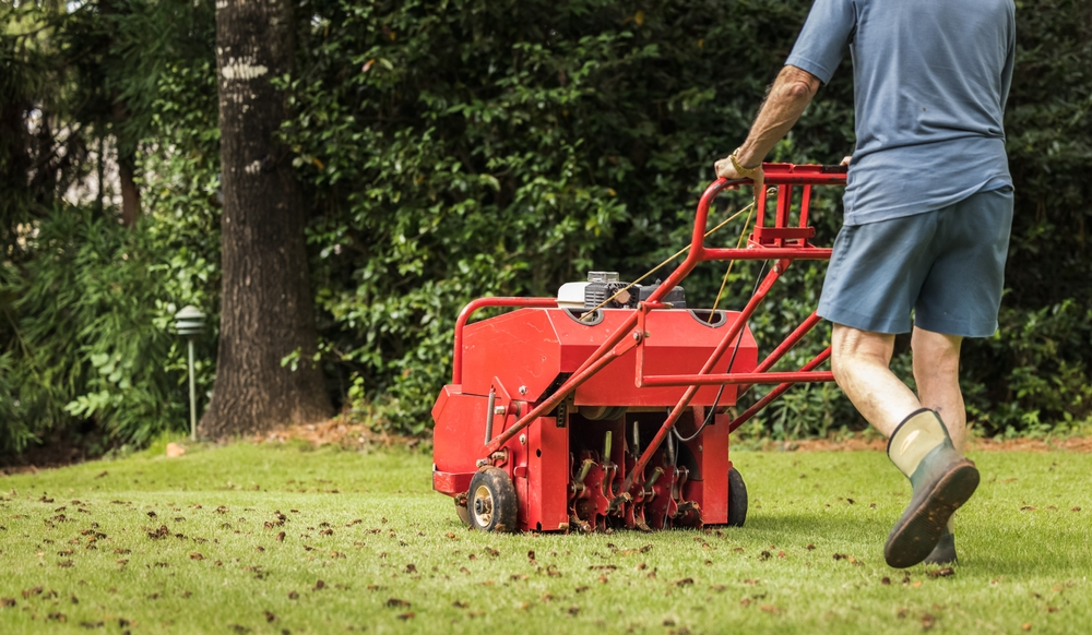 The Perfect Recipe: How Aeration & Overseeding Work Together