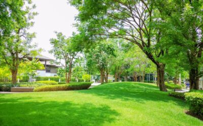 Crushing Lawn Maintenance: Takes Mo’ Than a Mow, Yo!