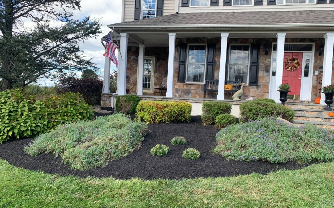 Mulching Mistakes to Avoid: Common Errors and How to Fix Them