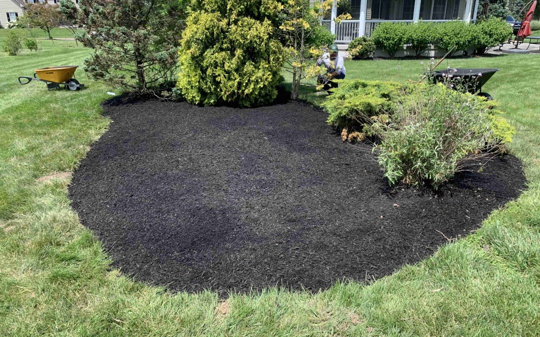 How to Choose the Right Mulch for Your Lawn