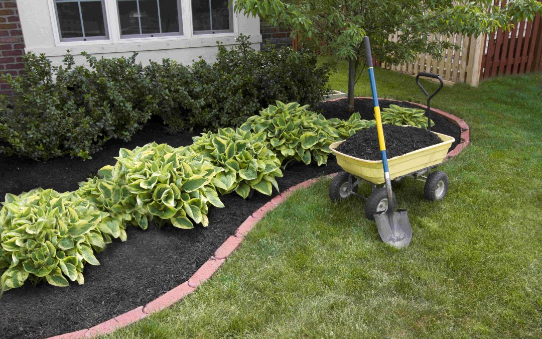 Myth Busters: Mulch Edition