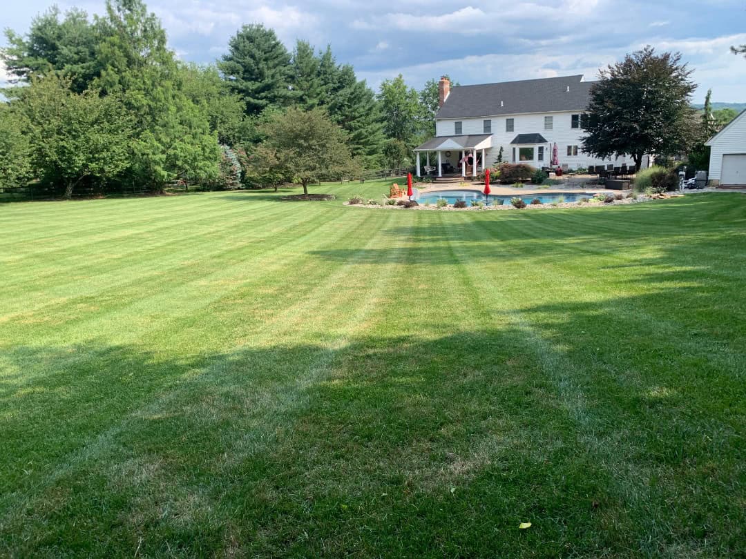 A green, vibrant, flat lawn is what you can get from us.