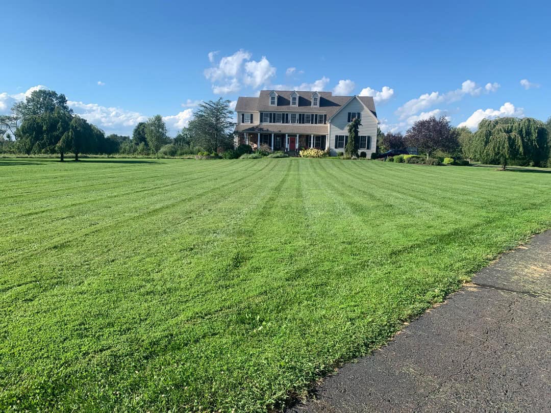 A perfect lawn from aeration and lawn care.