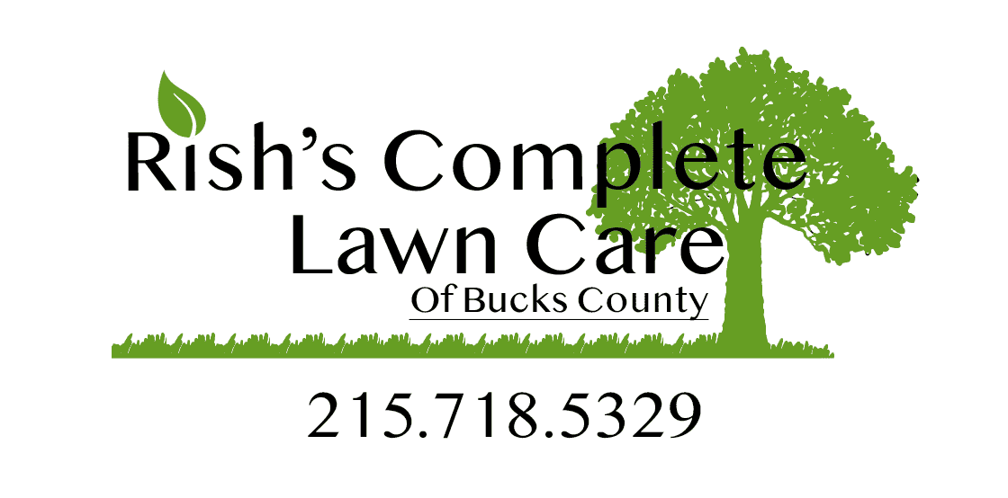 Lawn care service.