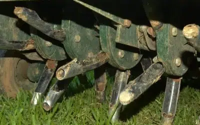 Why Aeration and Overseeding Are Best Done Together