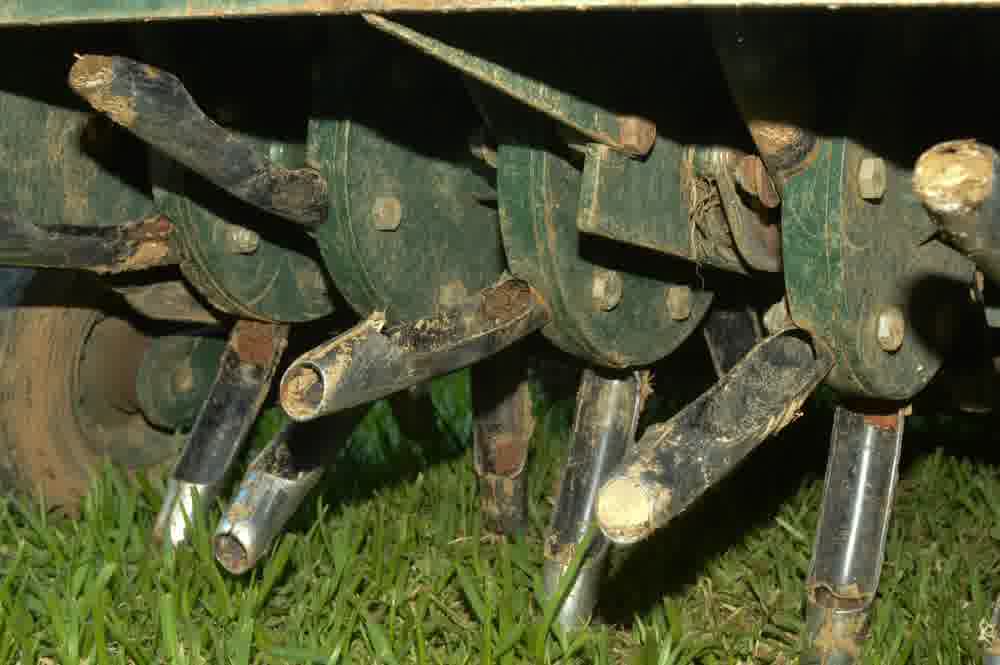 Why Aeration and Overseeding Are Best Done Together