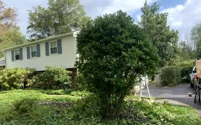 Top Beginner Landscaping Projects Every New Homeowner Should Consider